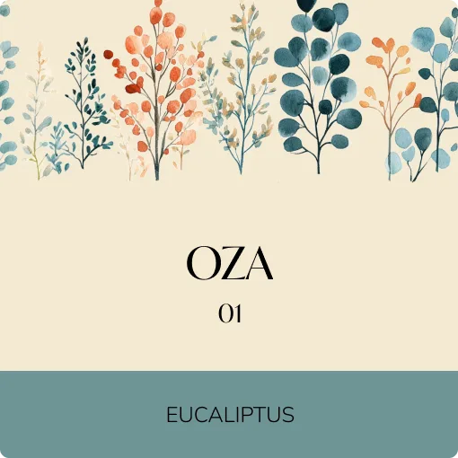 Dame Candela Oza Eucaliptus