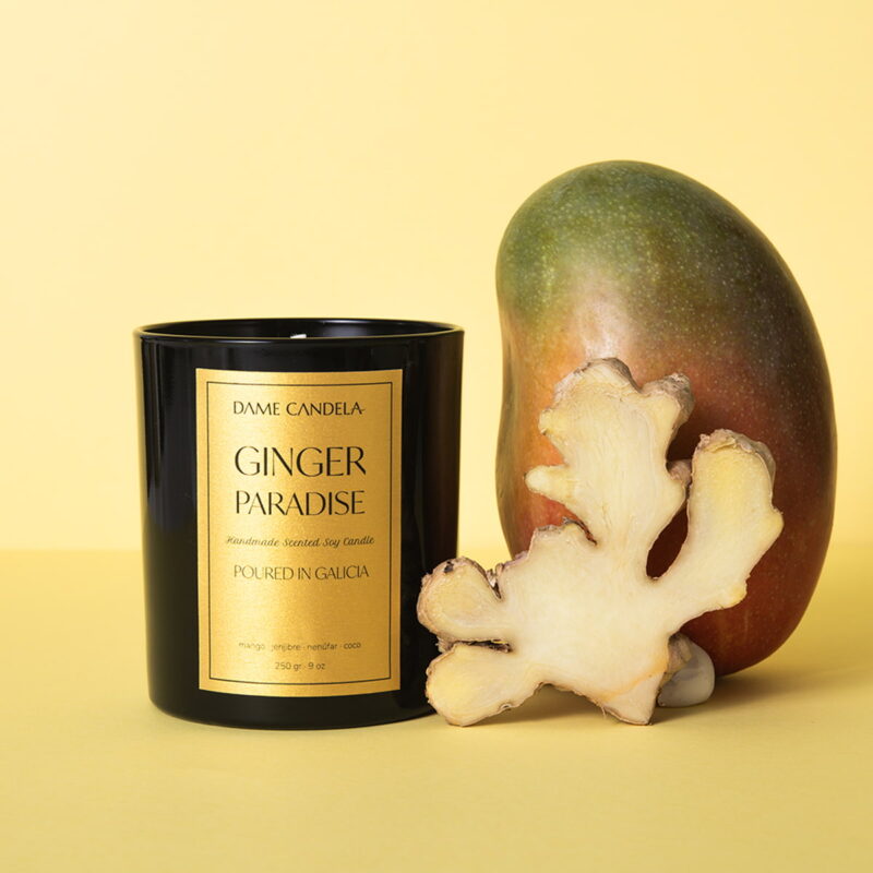 Vela aromática GINGER PARADISE